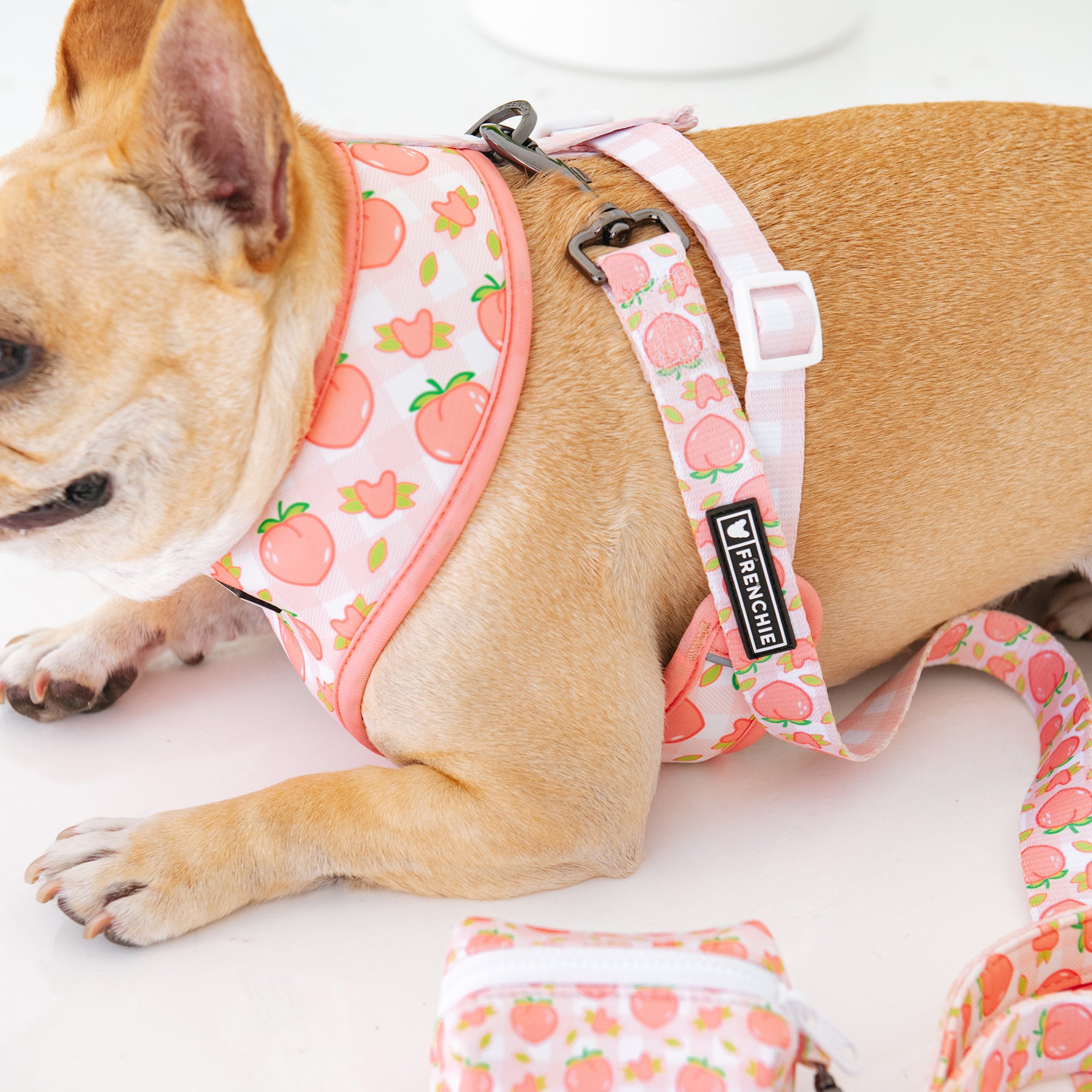 Frenchie Duo Reversible Harness Peaches Frenchie Bulldog