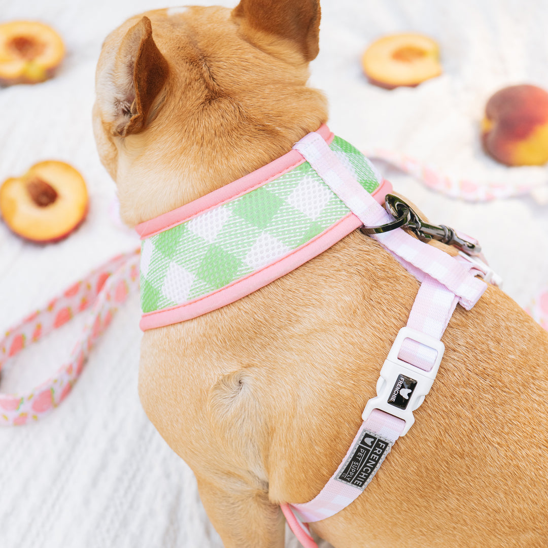 Frenchie Duo Reversible Harness - Peaches