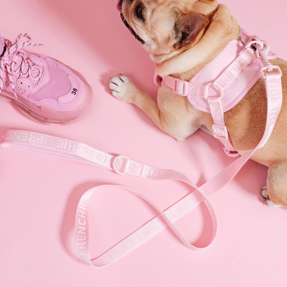 Frenchie Comfort Leash - Pink Bubble Gum