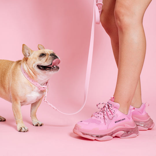 Frenchie Waterproof Leash - Pink Bubblegum