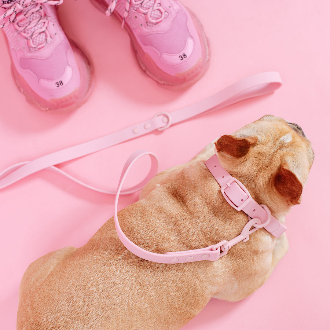 Frenchie Waterproof Leash - Pink Bubble Gum