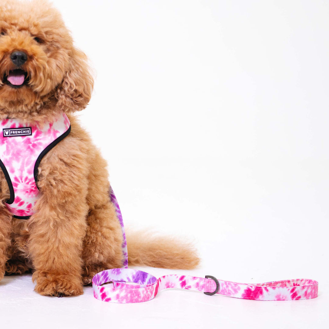 Frenchie Comfort Leash - Pink Tie Dye