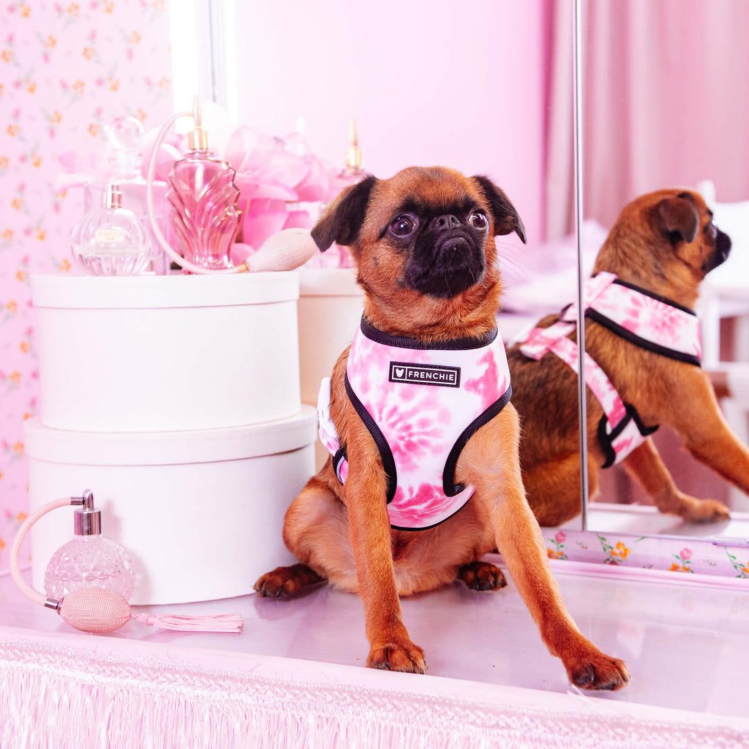 Frenchie Duo Reversible Harness - Pink Tie Dye