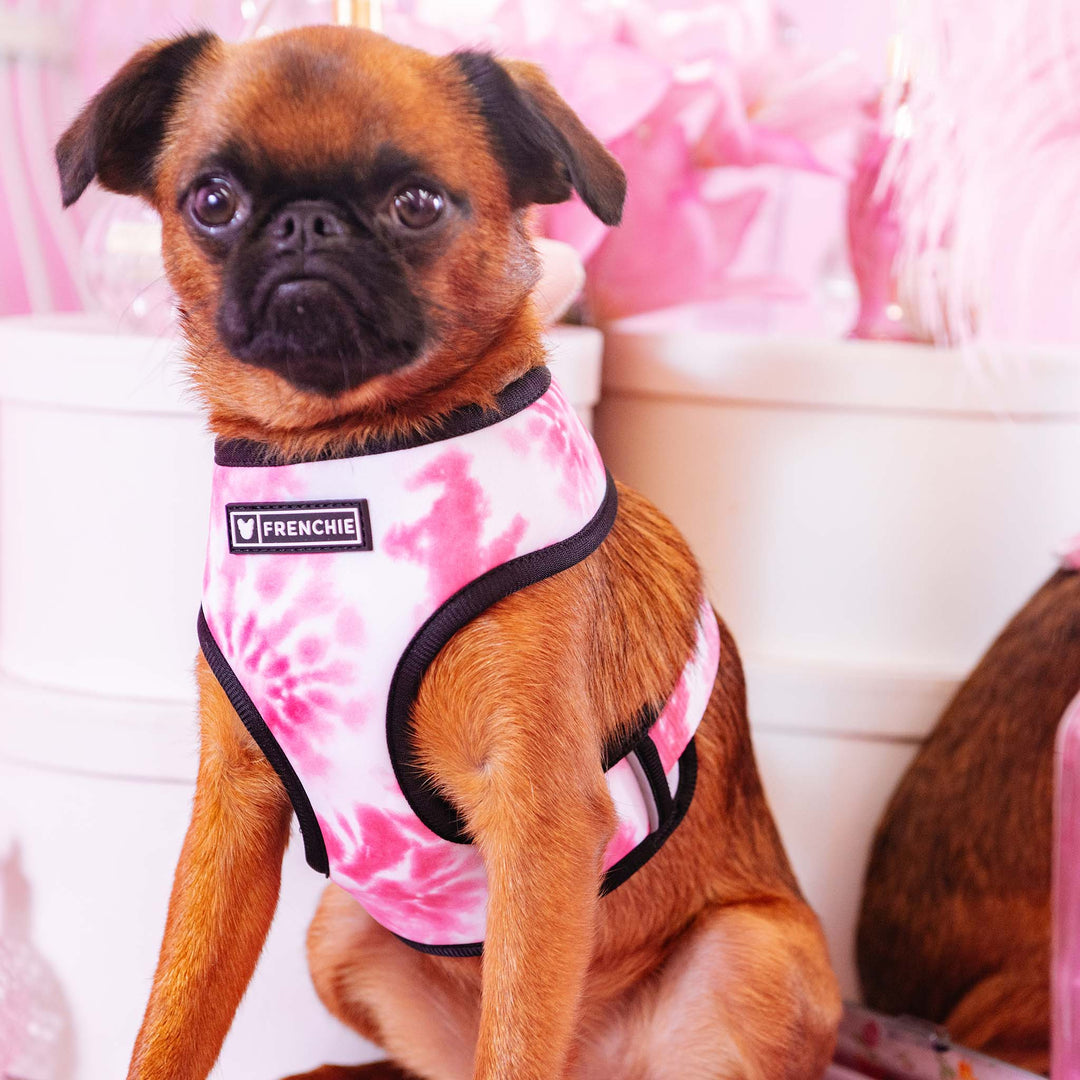 Frenchie Duo Reversible Harness - Pink Tie Dye