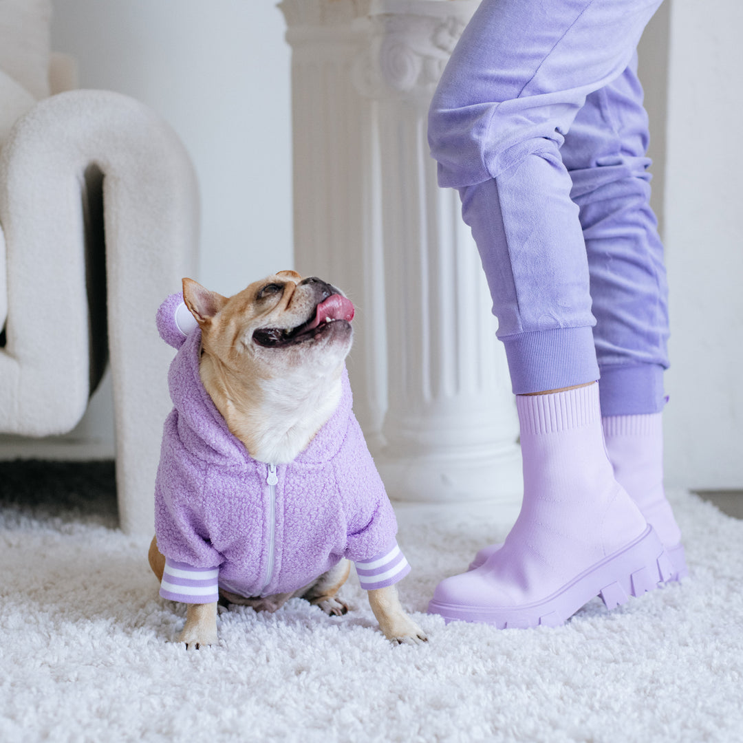 Frenchie Dog Hoodie - Purple Teddy