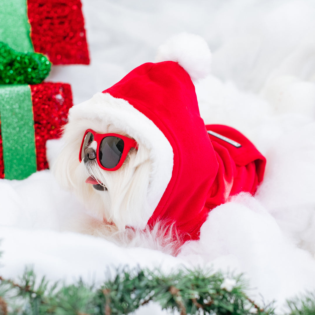 Frenchie Dog Hoodie - Red Santa