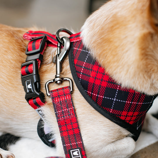 Frenchie Duo Reversible Harness - Red Tartan