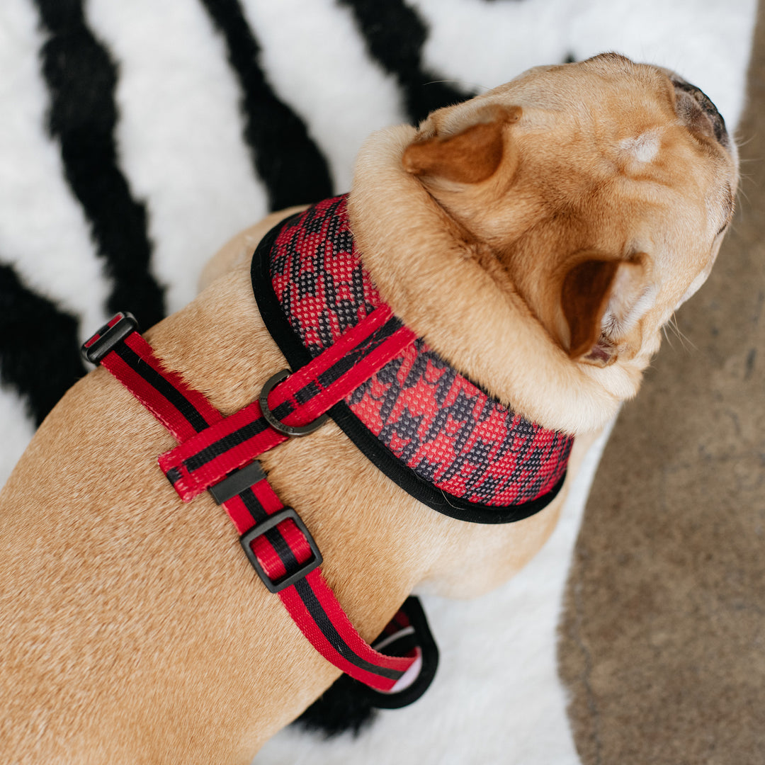 Frenchie Duo Reversible Harness - Red Tartan