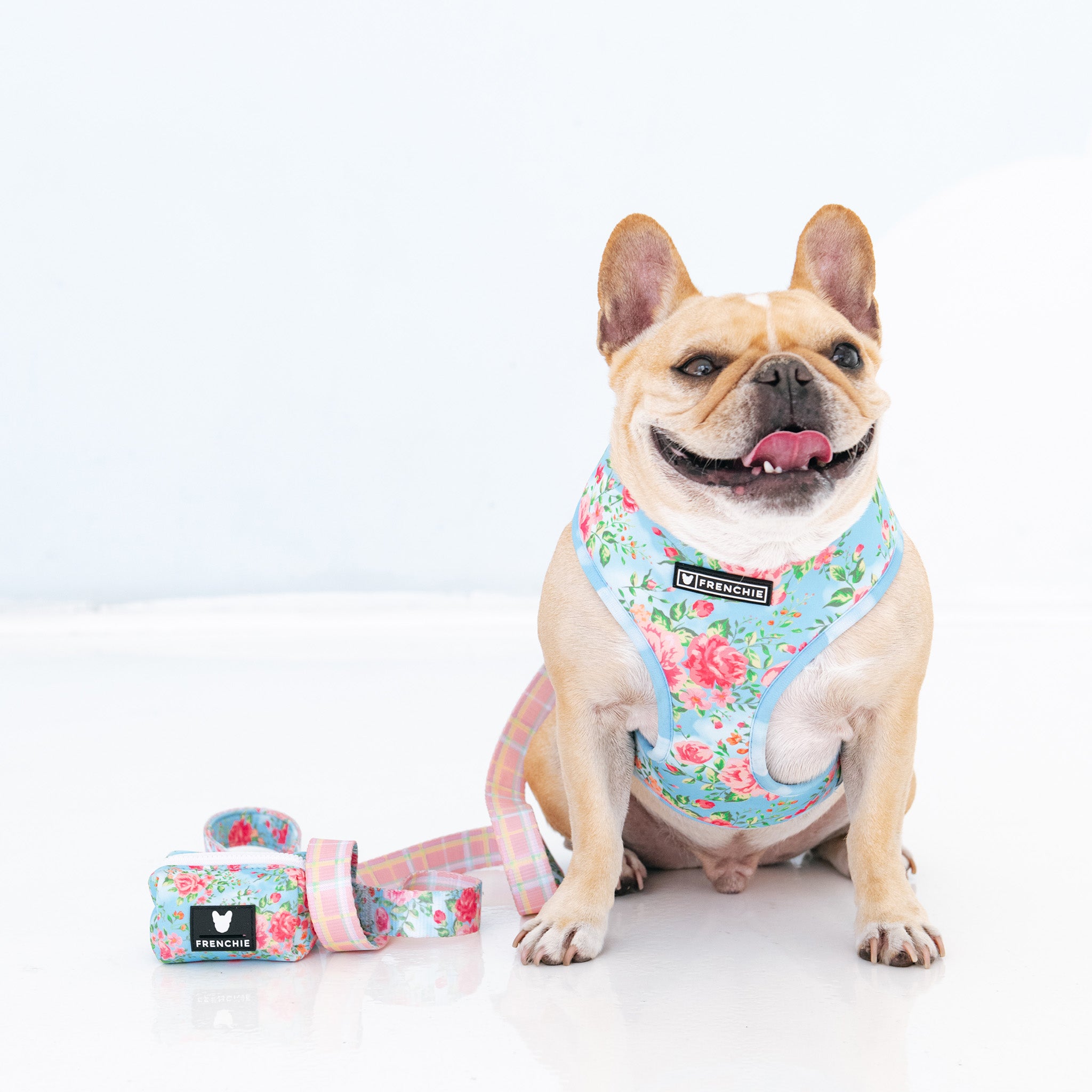 Frenchie Duo Reversible Harness - Secret Garden – Frenchie Bulldog