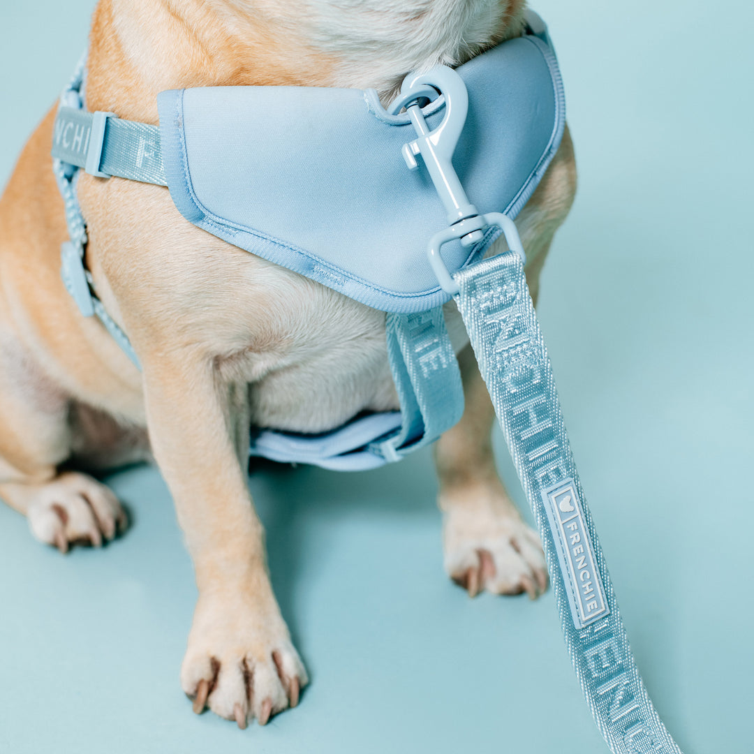 Frenchie Comfort Leash - Sky Blue