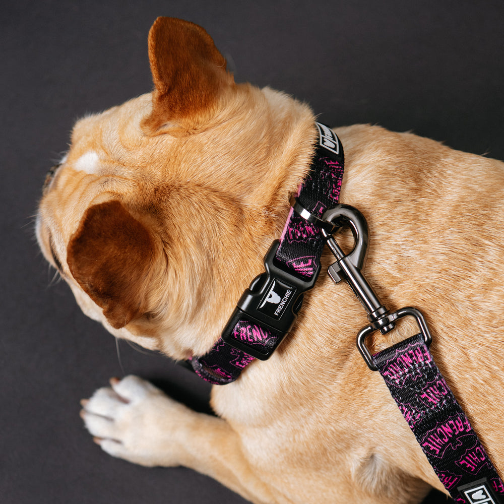 Frenchie Comfort Collar - Super Pig (Pink)