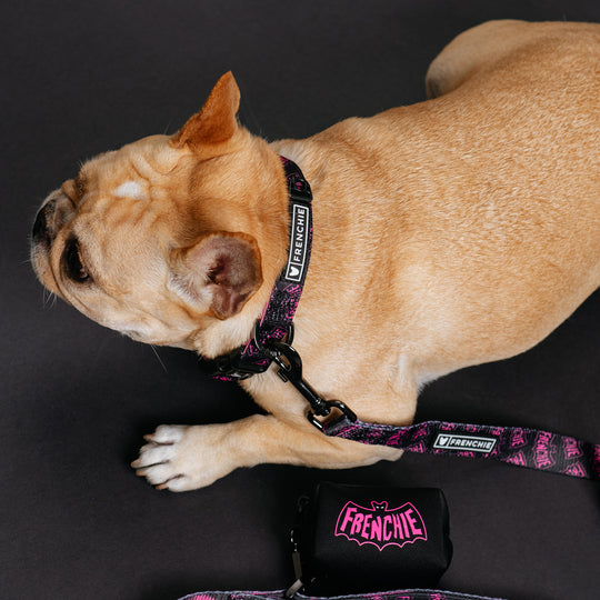 Frenchie Comfort Collar - Super Pig (Pink)