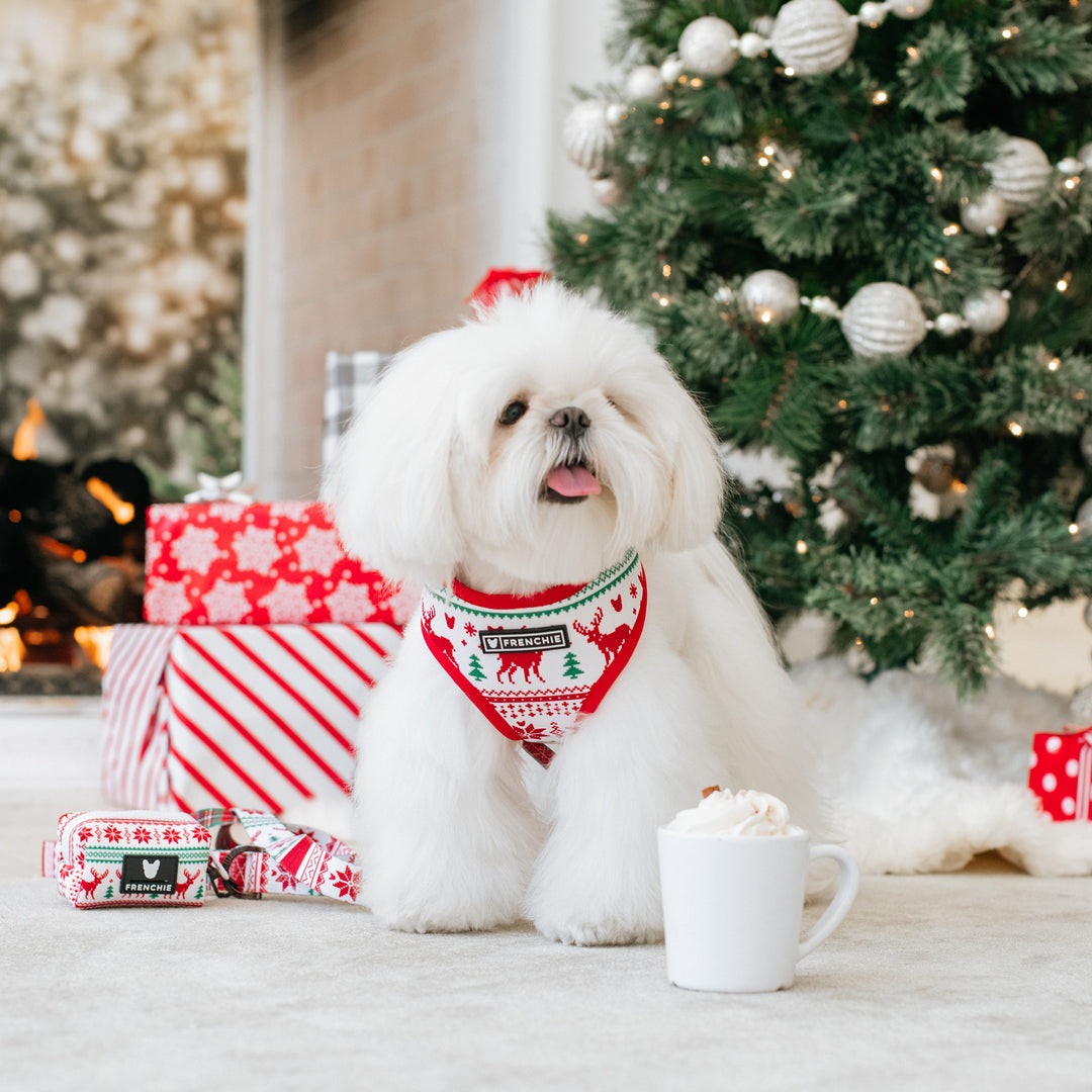 Frenchie Duo Reversible Harness - 'Tis The Season