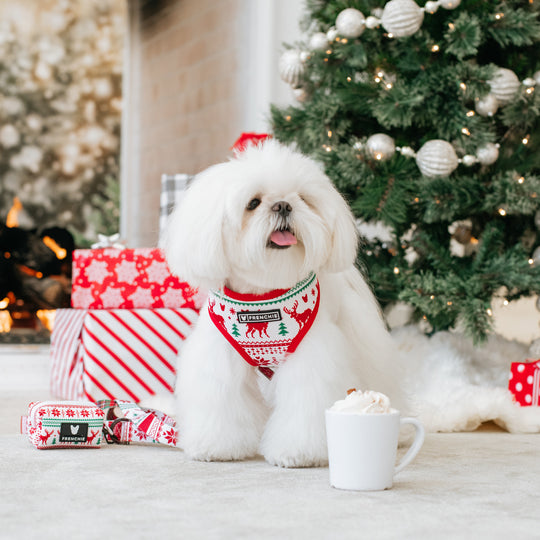 Frenchie Duo Reversible Harness - 'Tis The Season