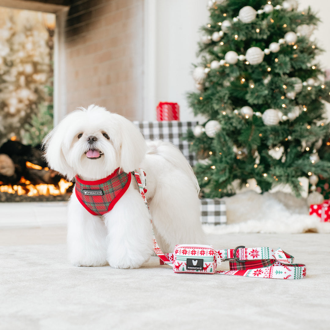 Frenchie Duo Reversible Harness - 'Tis The Season