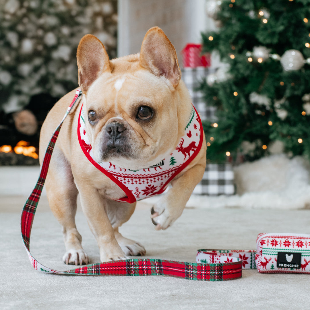 Frenchie Duo Reversible Harness - 'Tis The Season