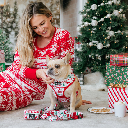 Frenchie Duo Reversible Harness - 'Tis The Season