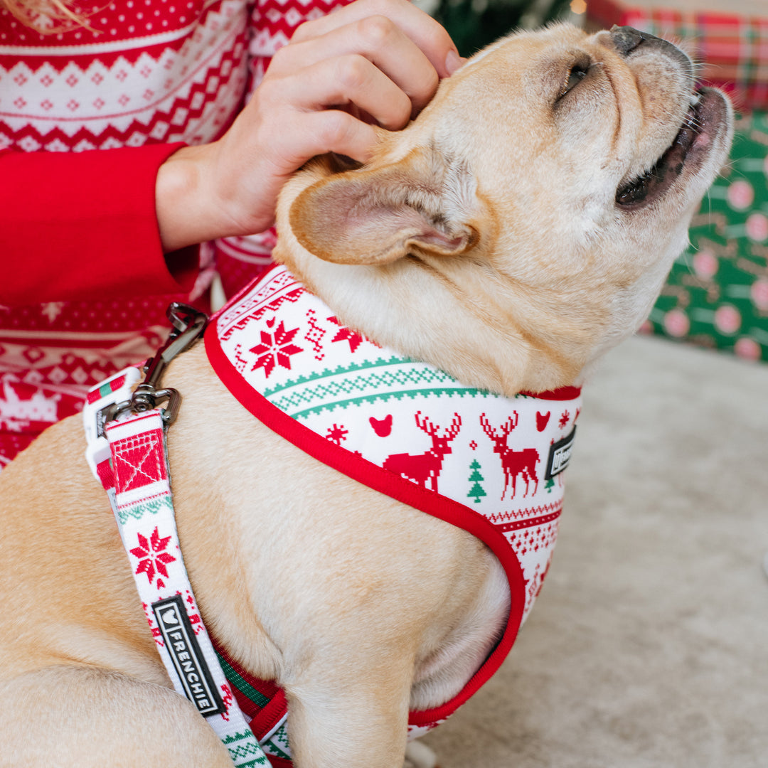 Frenchie Duo Reversible Harness - 'Tis The Season