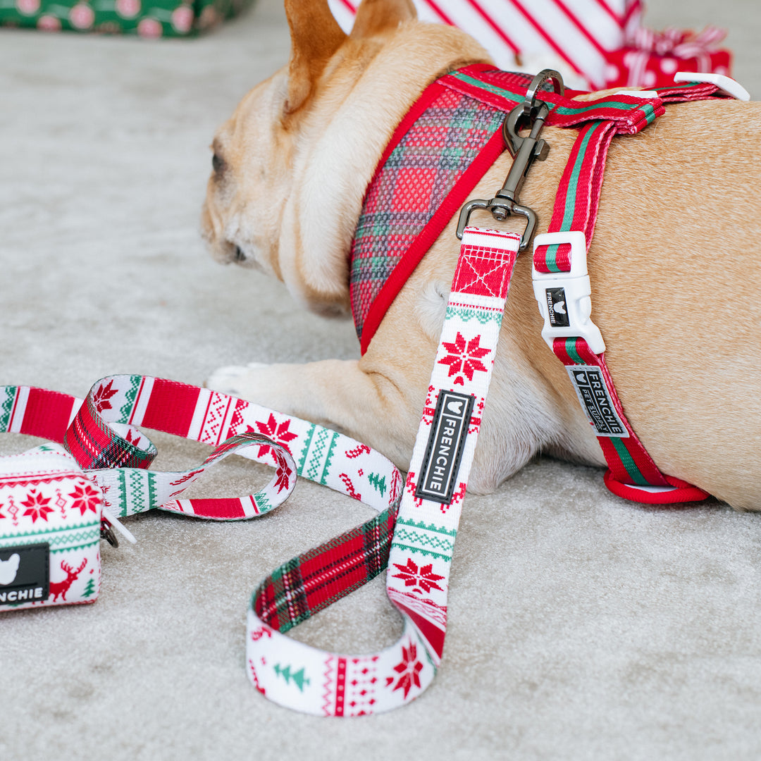 Frenchie Duo Reversible Harness - 'Tis The Season