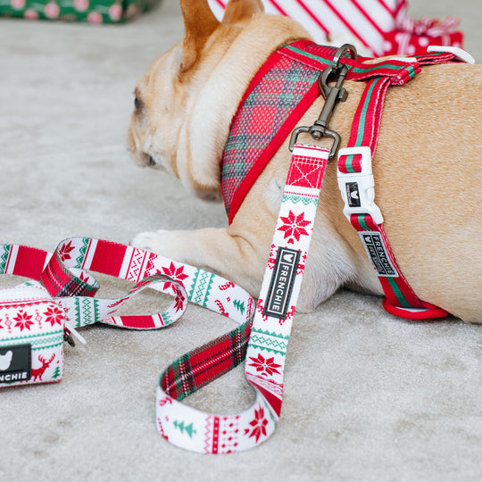 Frenchie Duo Reversible Harness - 'Tis The Season