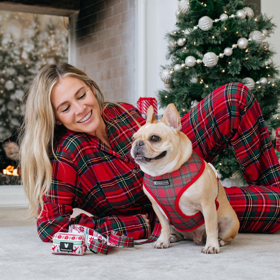 Frenchie Duo Reversible Harness - 'Tis The Season