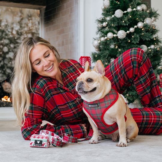 Frenchie Duo Reversible Harness - 'Tis The Season