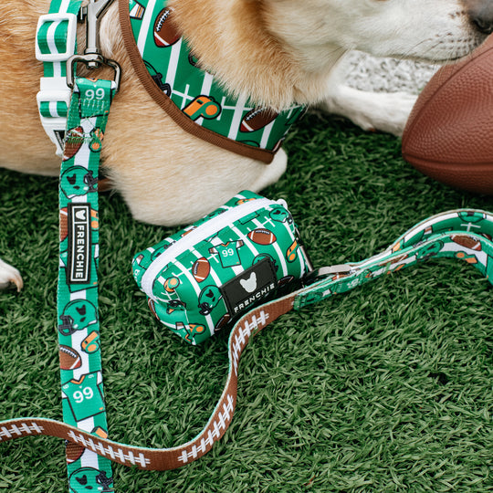 Frenchie Comfort Leash - Touchdown