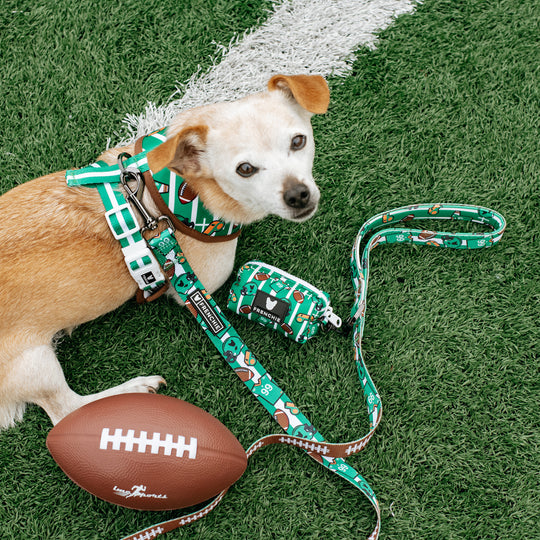 Frenchie Comfort Leash - Touchdown