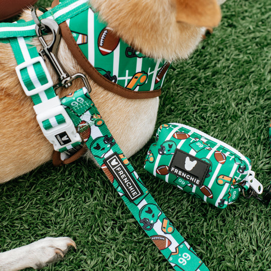 Frenchie Comfort Leash - Touchdown