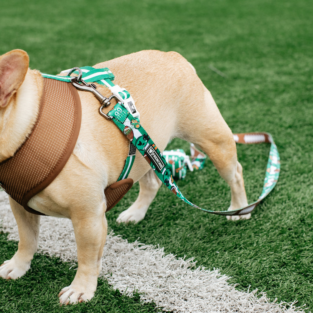 Frenchie Comfort Leash - Touchdown