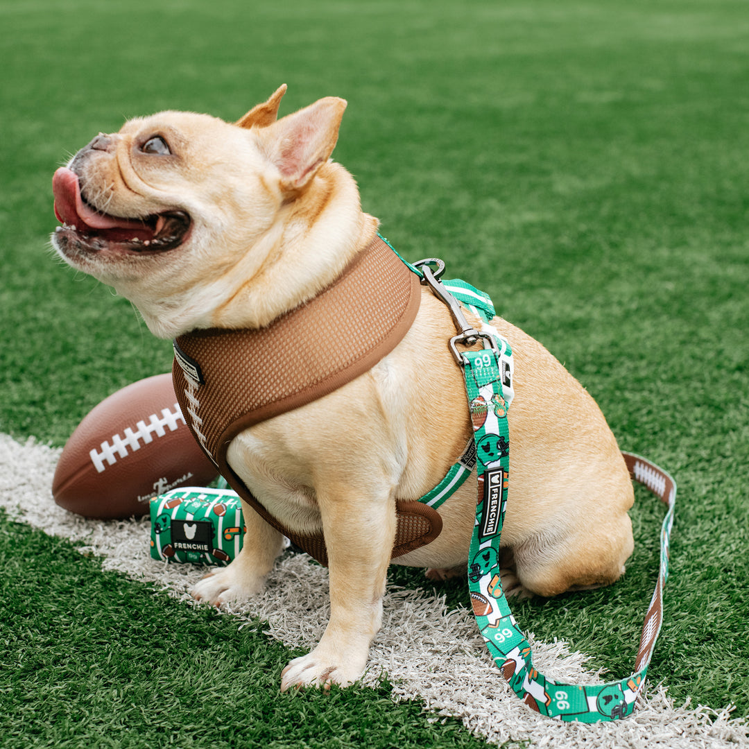 Frenchie Duo Reversible Harness - Touchdown