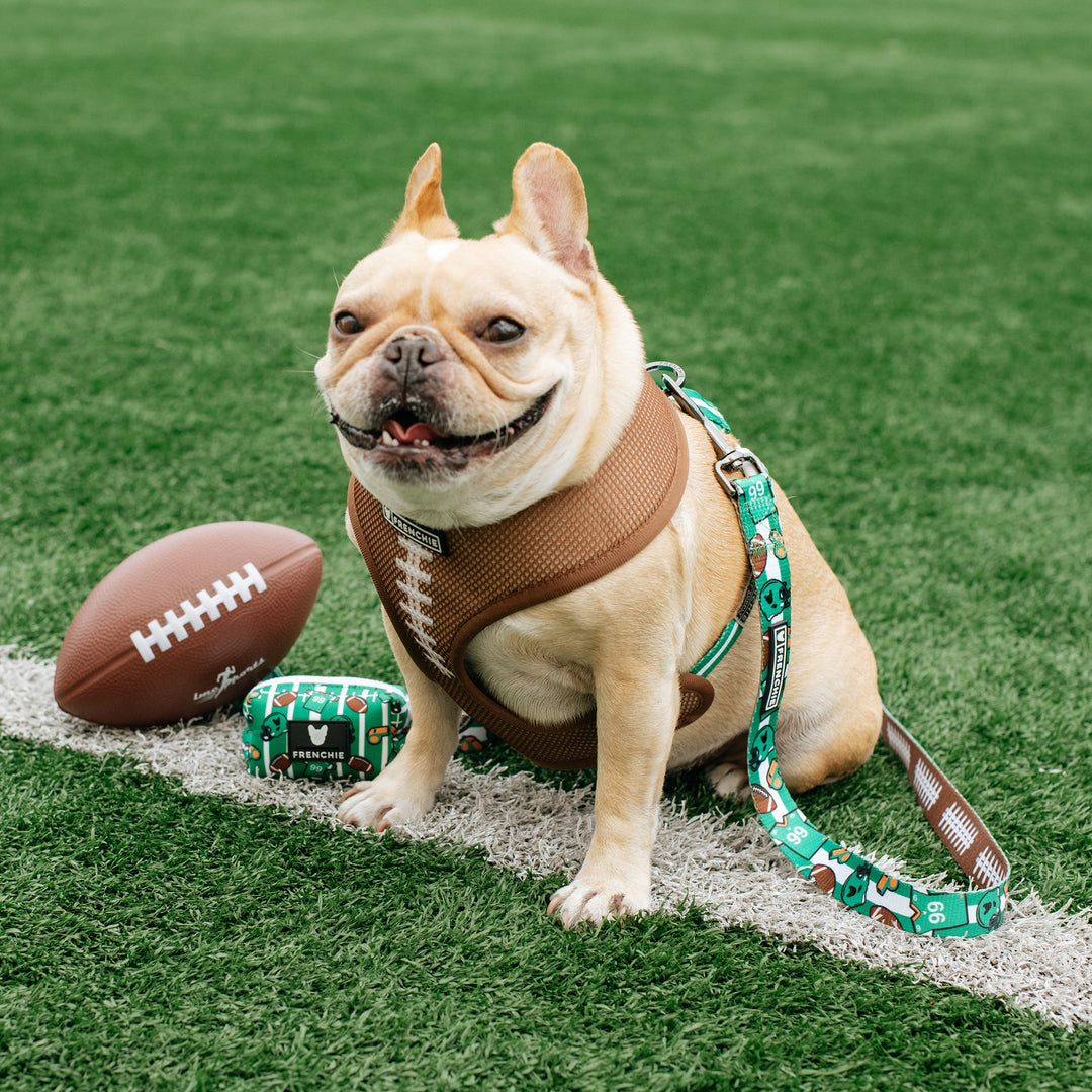 Frenchie Duo Reversible Harness - Touchdown
