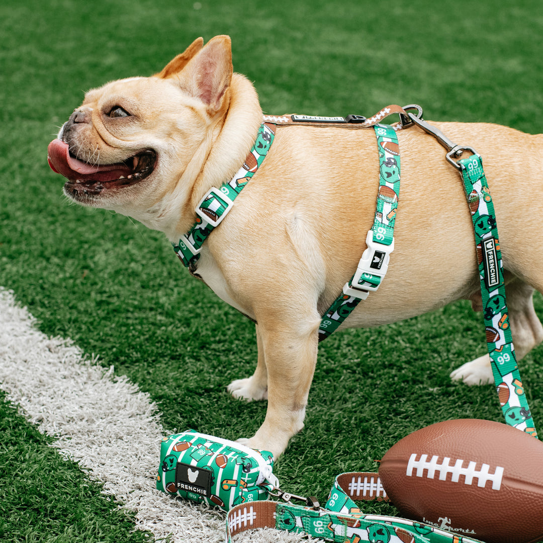 Frenchie Strap Harness - Touchdown