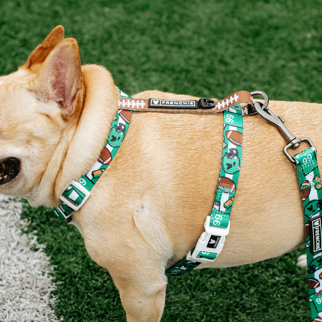 Frenchie Strap Harness - Touchdown