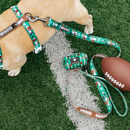 Frenchie Comfort Leash - Touchdown