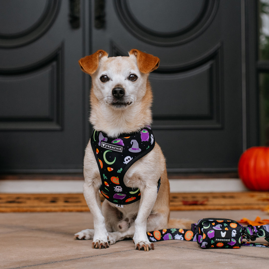 Frenchie Duo Reversible Harness - Witches Brew (Black)