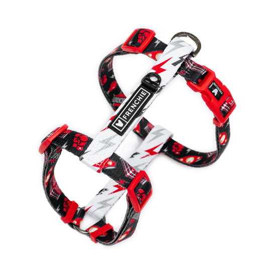 Frenchie Strap Harness - Knockout